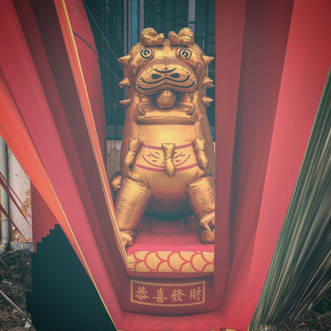 鹤这豹脾气（HZBPQ）