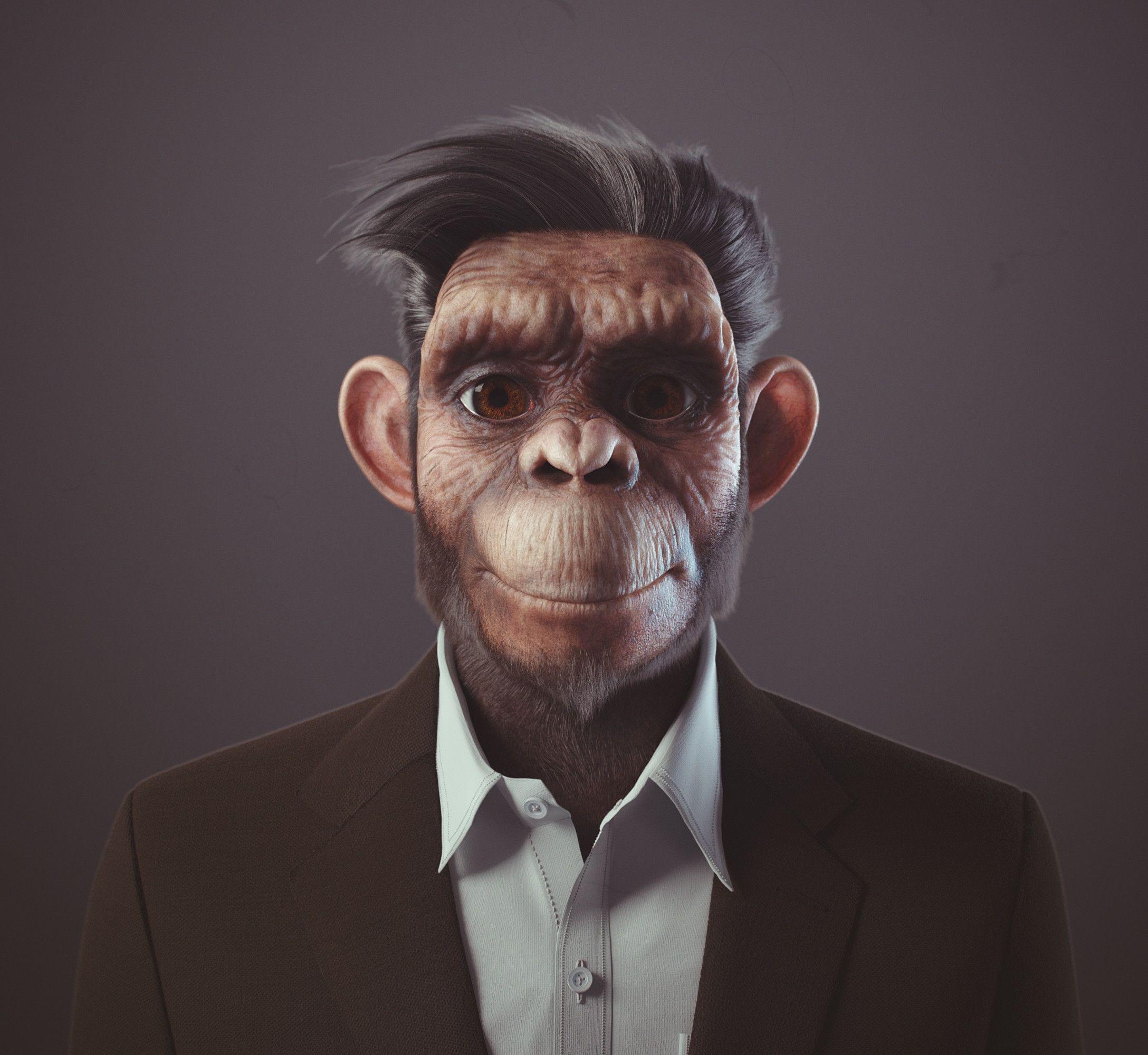 Monkey In Space
